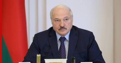 Александр Лукашенко - Лукашенко пригрозил серьезными последствиями, если Польша закроет границу - profile.ru - Россия - Китай - Белоруссия - Польша