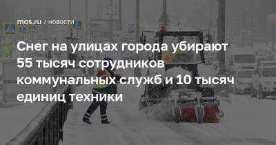 Петр Бирюков - Снег на улицах города убирают 55 тысяч сотрудников коммунальных служб и 10 тысяч единиц техники - mos.ru - Москва