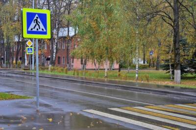 Более 400 пешеходных переходов в Подмосковье оснастили направленной подсветкой - vm.ru - Московская обл.