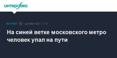 На синей ветке московского метро человек упал на пути - interfax.ru - Москва