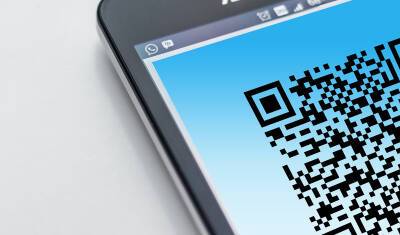 В Петербурге полиция раскрыла схему оформления поддельных QR-кодов в поликлиниках - newizv.ru - Россия - Ленинградская обл. - Санкт-Петербург