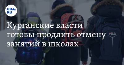 Курганские власти готовы продлить отмену занятий в школах - ura.news - Курганская обл. - Курган - Шадринск