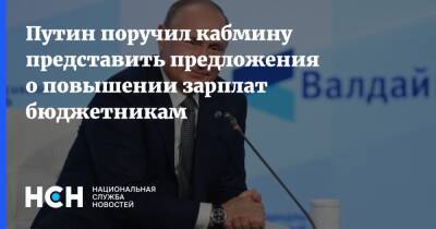 Владимир Путин - Путин поручил кабмину представить предложения о повышении зарплат бюджетникам - nsn.fm - Россия