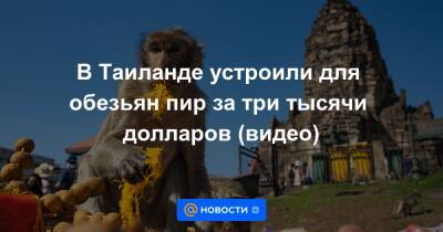 Екатерина Гура - В Таиланде устроили для обезьян пир за три тысячи долларов (видео) - news.mail.ru - Таиланд