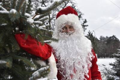 Дед Мороз - Столичная усадьба Деда Мороза открылась для посетителей в формате COVID-free - vm.ru - Москва
