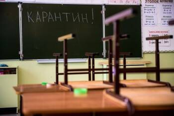 Сергей Воропанов - Не ковидом единым: грипп и ОРВИ продолжает гулять по школам и детсадам Вологды - vologda-poisk.ru - Вологда