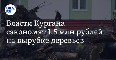 Власти Кургана сэкономят 1,5 млн рублей на вырубке деревьев - ura.news - Курган