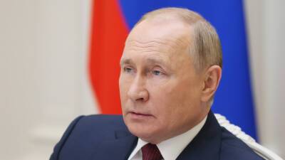Владимир Путин - Путин: Россия и Австрия выстраивают отношения на конструктивной и прагматичной основе - russian.rt.com - Австрия - Россия