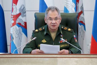 Сергей Шойгу - Российским военным дадут выходные 29 и 30 декабря - aif.ru - Россия