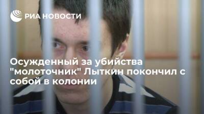Осужденный за шесть убийств в Иркутске "молоточник" Лыткин покончил с собой в колонии - ria.ru - Москва - Иркутск