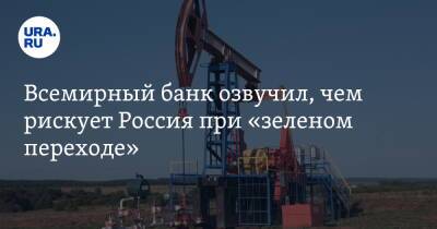 Всемирный банк озвучил, чем рискует Россия при «зеленом переходе» - ura.news - Россия