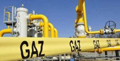 Давид Арахамии - В Украине рассказали, как можно отказаться от импорта газа - enovosty.com - Украина