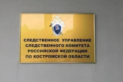 Костромской СУСК проводит проверку обстоятельств трагического пожара в Мантуровском районе - kostroma.mk.ru - Кострома