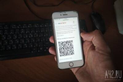 В декабре семь регионов России расширили места действия QR-кодов - gazeta.a42.ru - Россия - Башкирия - Челябинская обл. - Амурская обл. - Хабаровский край - Камчатский край - Омская обл. - респ. Калмыкия