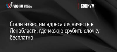 Стали известны адреса лесничеств в Ленобласти, где можно срубить елочку бесплатно - ivbg.ru - Украина - Ленинградская обл.