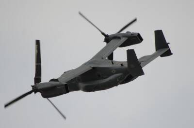 Бойцы НМ ДНР обезвредили два боевых беспилотника ВСУ - anna-news.info - ДНР - Донбасс
