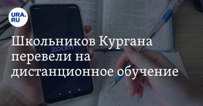 Школьников Кургана перевели на дистанционное обучение - ura.news - Курганская обл. - Курган