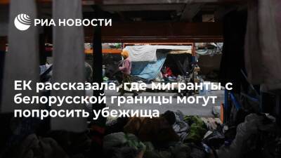 ЕК разрешила мигрантам с границы с Белоруссией просить убежища лишь в сопредельных странах - ria.ru - Белоруссия - Польша - Литва - Латвия - Брюссель