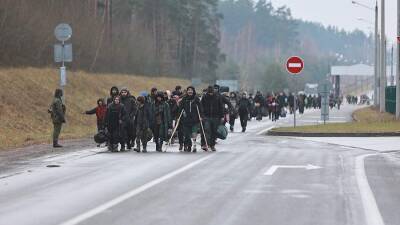 Мигранты на границе с Белоруссией могут запрашивать убежище в четырех странах - iz.ru - Израиль - Белоруссия - Польша - Литва - Латвия