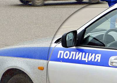 В Люберцах хотят привлечь к ответственности живодера, выбросившего собаку с 14 этажа - mskgazeta.ru