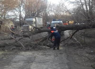 Елена Сорокина - Сорокина рассказала об устранении последствий циклона «Бенедикт» - ya62.ru - Рязань