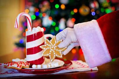 Дед Мороз - Эксперты назвали стоимость приглашения Деда Мороза и Снегурочки в Уфе - news102.ru - Уфа
