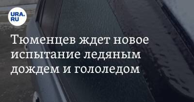 Тюменцев ждет новое испытание ледяным дождем и гололедом - ura.news - Тюмень - Тюменская обл. - Омск - Ялуторовск