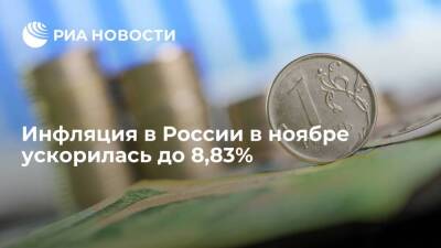 Максим Решетников - Минэкономразвития: инфляция в России в ноябре ускорилась до 8,83% - smartmoney.one - Россия - Турция