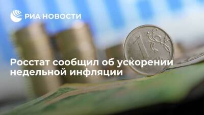 Росстат: недельная инфляция в России с 23 по 29 ноября ускорилась до 0,46% - smartmoney.one - Россия - Турция