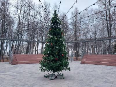 Быханов сад становится новогодним - lipetskmedia.ru - Липецк