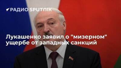 Александр Лукашенко - Президент Белоруссии Лукашенко: ущерб от санкций Запада для страны – это мизер - smartmoney.one - Россия - Белоруссия - Минск