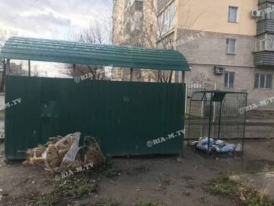 Курьез: в Мелитополе прошлогоднюю елку выбросили 1 декабря (ФОТО) - enovosty.com - Мелитополь