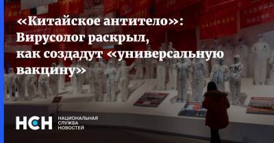 Владимир Болибок - «Китайское антитело»: Вирусолог раскрыл, как создадут «универсальную вакцину» - nsn.fm - Китай