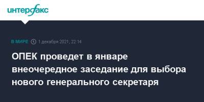 Мохаммед Баркиндо - ОПЕК проведет в январе внеочередное заседание для выбора нового генерального секретаря - interfax.ru - Москва - Иран