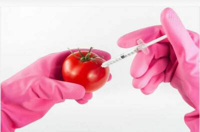 Алексей Майоров - Закон о ГМО ждут серьёзные изменения - pnp.ru