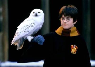 Гарри Поттер - Джоан Роулинг - Первое издание «Гарри Поттера» продано за рекордную сумму - vm.ru - Англия - Даллас
