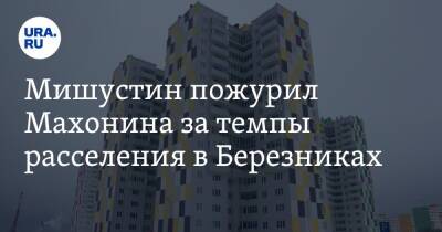Владимир Путин - Михаил Мишустин - Дмитрий Махонин - Мишустин пожурил Махонина за темпы расселения в Березниках - ura.news - Россия - Пермский край