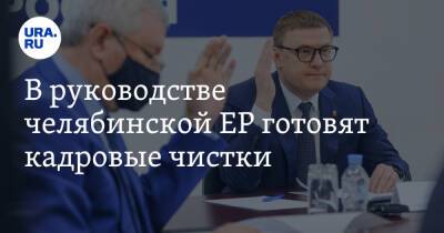 В руководстве челябинской ЕР готовят кадровые чистки - ura.news - Москва - Россия - Челябинск