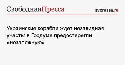 Михаил Шеремет - Украинские корабли ждет незавидная участь: в Госдуме предостерегли «незалежную» - svpressa.ru - Украина
