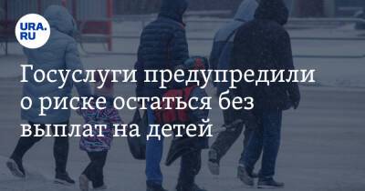 Госуслуги предупредили о риске остаться без выплат на детей - ura.news