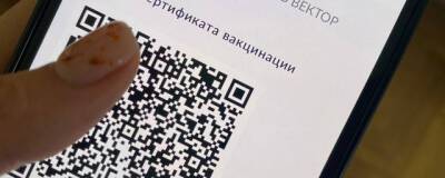 В торговых центрах Барнаула игнорируют требование проверять QR-коды - runews24.ru - Москва - Барнаул