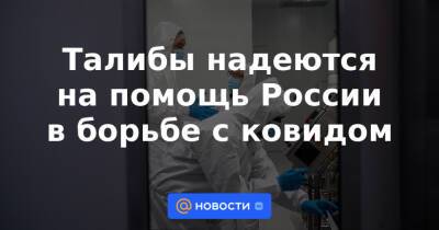 Талибы надеются на помощь России в борьбе с ковидом - news.mail.ru - Россия - Афганистан