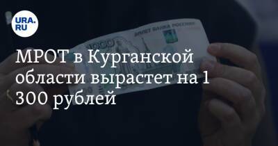 МРОТ в Курганской области вырастет на 1 300 рублей - ura.news - Россия - Курганская обл.
