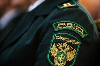 В Подмосковье назревает конфликт между Дмитровским заводом РТИ и Росприроднадзором - argumenti.ru - Россия - Московская обл.