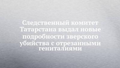 Следственный комитет Татарстана выдал новые подробности зверского убийства с отрезанными гениталиями - chelny-izvest.ru - респ. Татарстан - Набережные Челны
