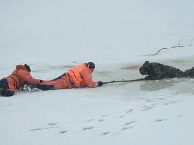Двое рыбаков провалились под лед на озере в Борском районе - vgoroden.ru - Россия - Нижегородская обл.