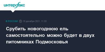 Срубить новогоднюю ель самостоятельно можно будет в двух питомниках Подмосковья - interfax.ru - Москва - Московская обл.