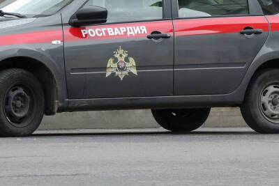 Baza: под Тулой нашли обезглавленное тело подполковника Росгвардии - mk.ru - Тула - Тульская обл.