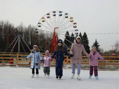 Будет ли снег в Липецке на Новый год? - lipetskmedia.ru - Липецк
