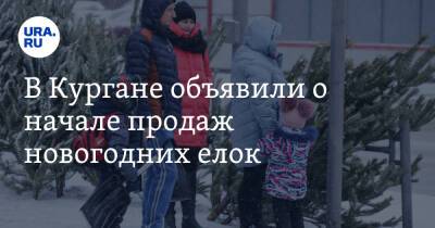 В Кургане объявили о начале продаж новогодних елок. Список мест - ura.news - Курган